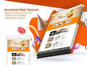 Bitlis Web Tasarım Fiyatları